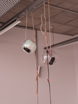 Marcus Kautz 